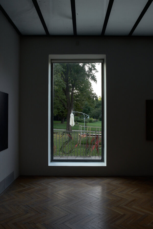 Reinhold Zisser, David Přílučík